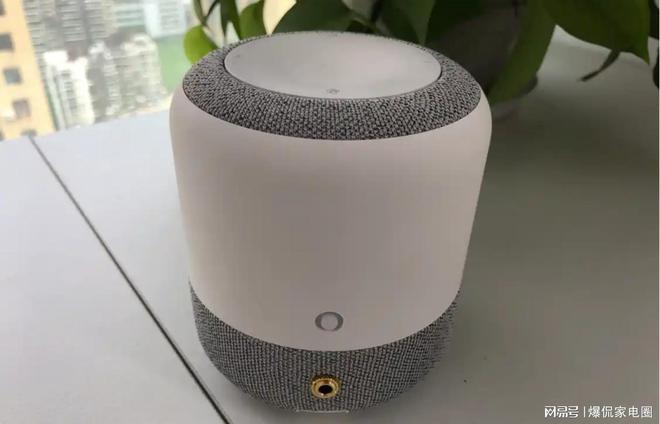 花冤枉钱？2024年最值得入手的两款音箱推荐爱游戏app最新登录入口智能音箱怎么选才能不(图21)