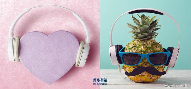 产品项目必要性及可行性分析爱游戏app网站高端音频(图2)
