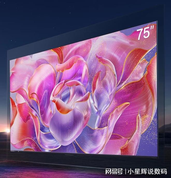 买”的3款海信75英寸电视公认好口碑爱游戏ayx2025年618“最值得(图5)
